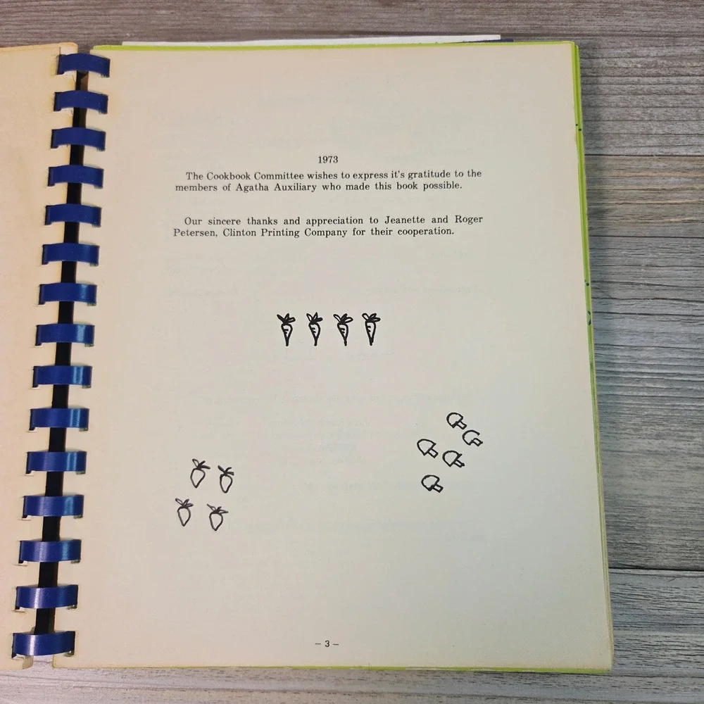 Agatha's Patchwork 1973 Vtg Iowa Community Cookbook‎ Jane Lamb Hospital Spiral